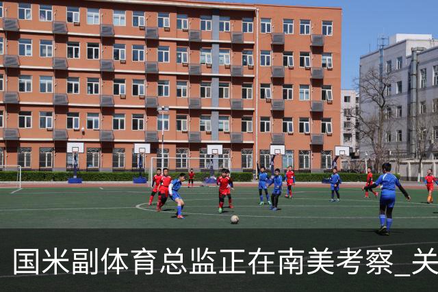 国米副体育总监正在南美考察 关注这4名球员